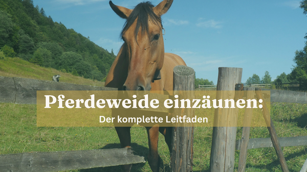 Pferdeweide einzäunen Anleitung 2026 sanilu.ch