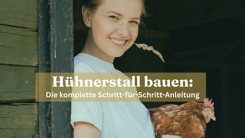 Hühnerstall bauen Anleitung 2026 sanilu.ch