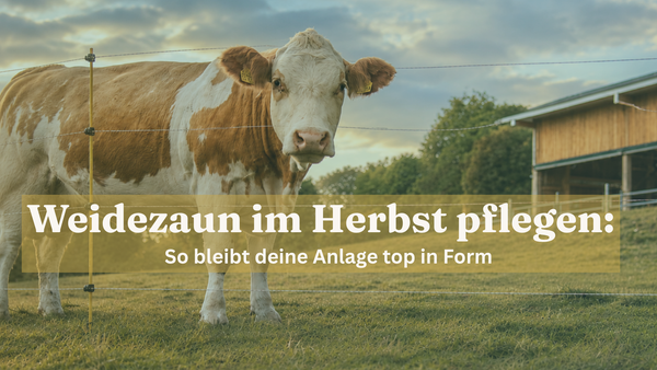 Weidezaun im Herbst pflegen: So bleibt deine Anlage top in Form (2026)