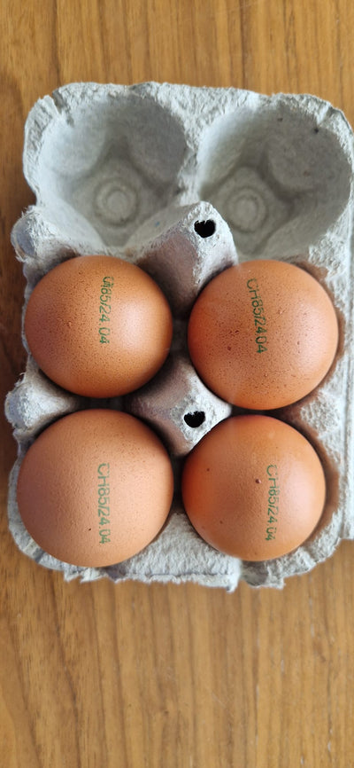 Eierkennzeichnung in der Schweiz – Was die Codes bedeuten