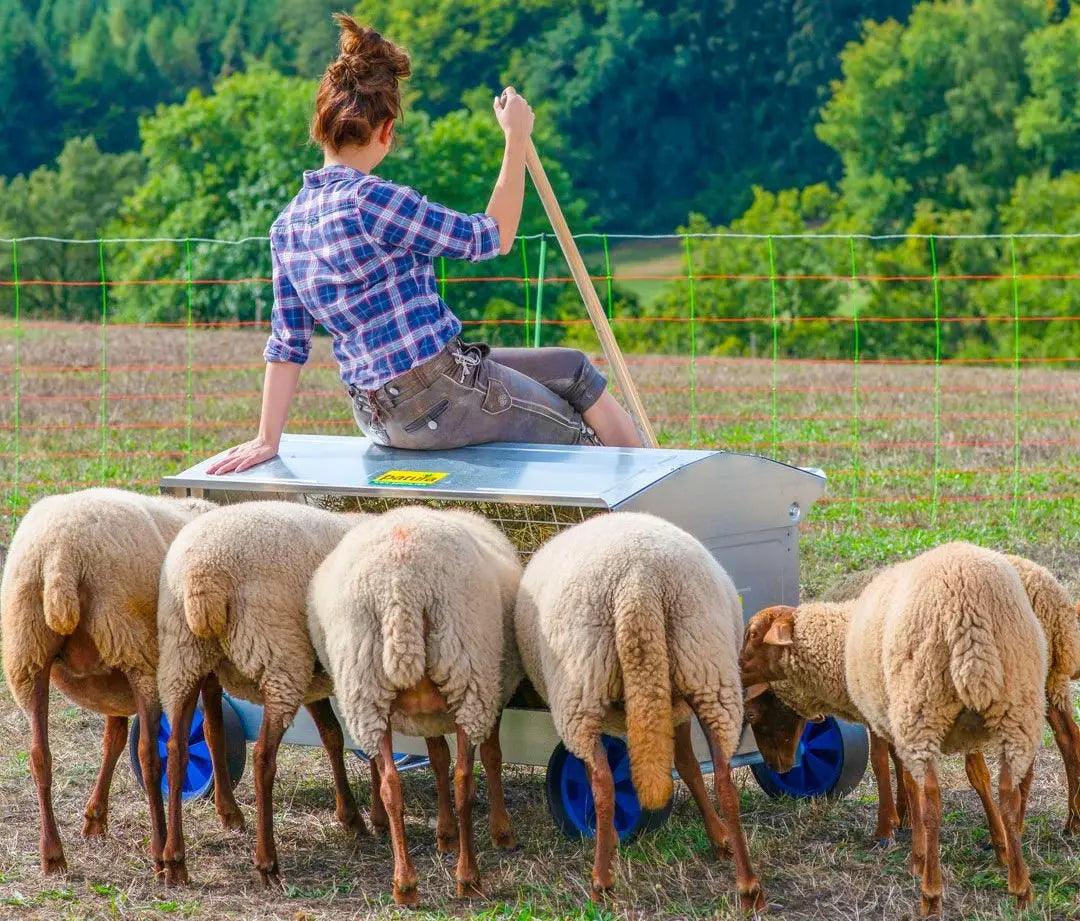 Feed racks for sheep - Online Shop