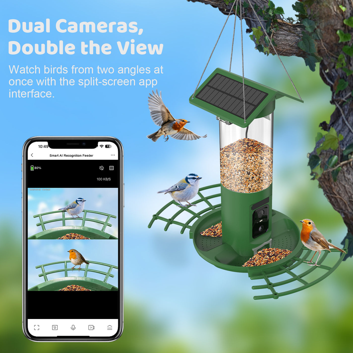 Grüner solarbetriebener Vogel-Futterspender an einem Ast aufgehängt, von Vögeln umgeben; Smartphone zeigt die Split-Screen-Ansicht zweier Kamerawinkel der Vogelbeobachtungs-App.