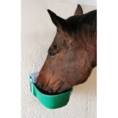 Nahaufnahme eines braunen Pferdekopfes, der aus einem grünen wandmontierten Fressnapf frisst.