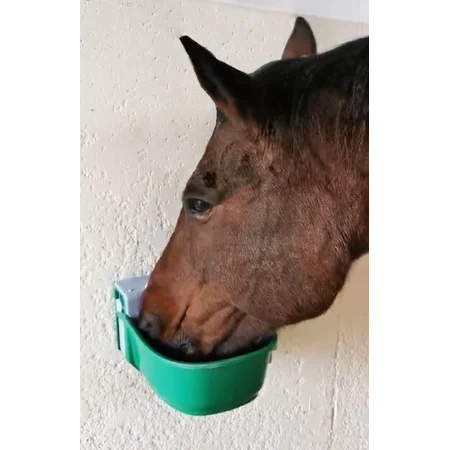 Nahaufnahme eines Pferdes, das aus einem grünen, an der Wand montierten Futternapf frisst.