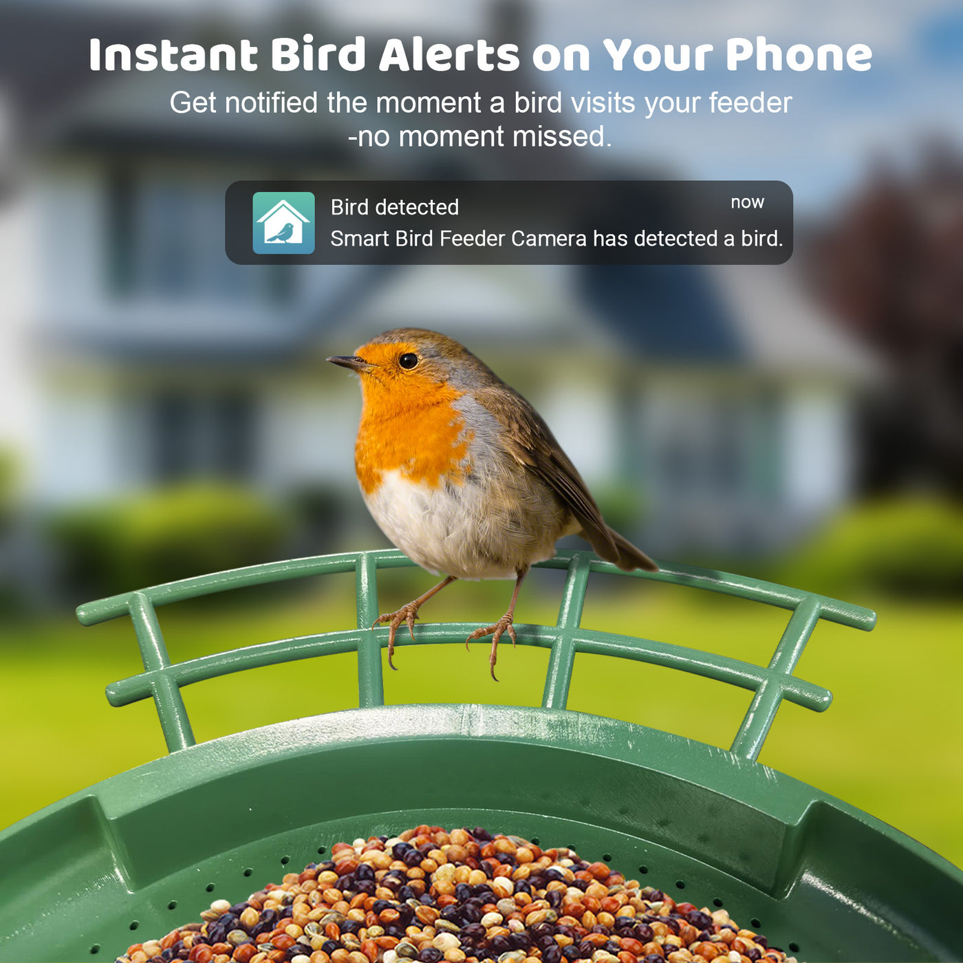 Rotkehlchen sitzt auf einem grünen Vogelfutterspender im Garten; unscharfer Hintergrund mit Haus. Overlay-Text: „Instant Bird Alerts on Your Phone“ und Benachrichtigung „Bird detected – Smart Bird Feeder Camera has detected a bird“.