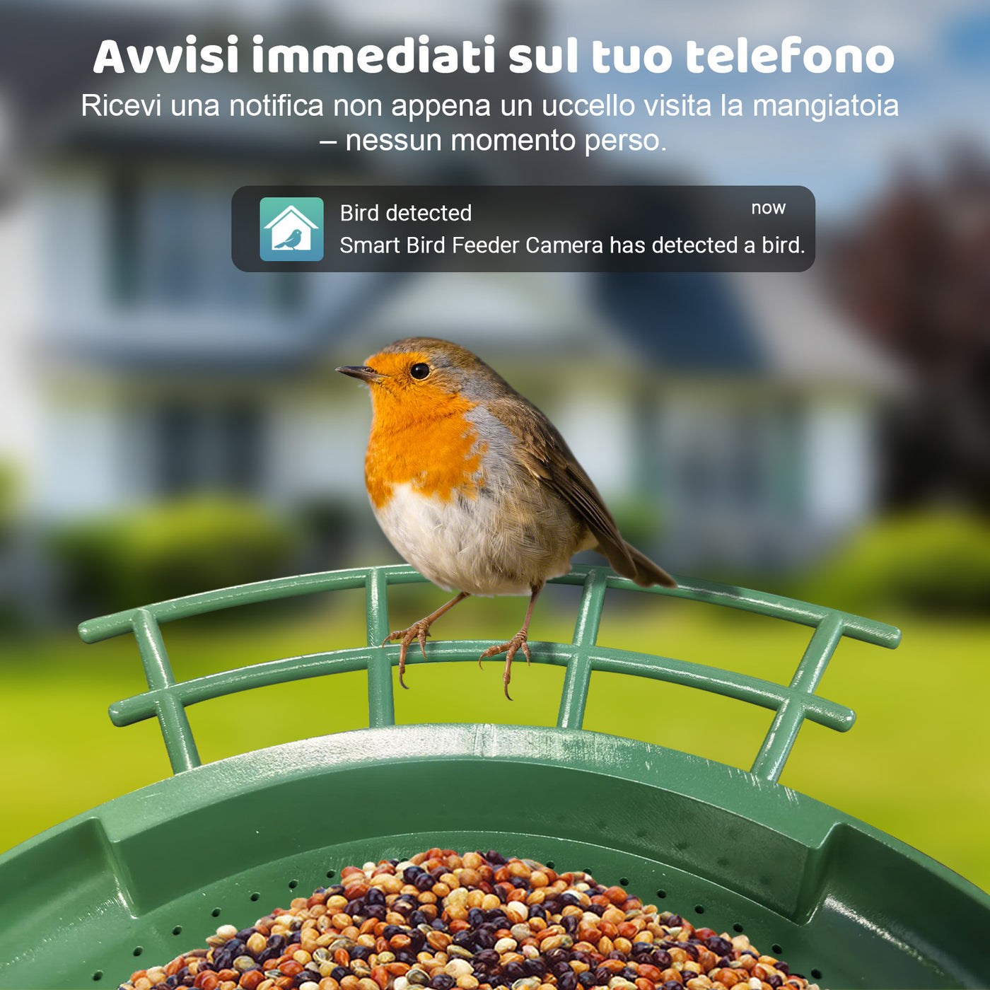 Rotkehlchen sitzt auf grünem Vogelfutterspender, gefüllt mit Körnern, im Garten; Hintergrund unscharf mit Haus, Overlay-Benachrichtigung Bird detected sichtbar.