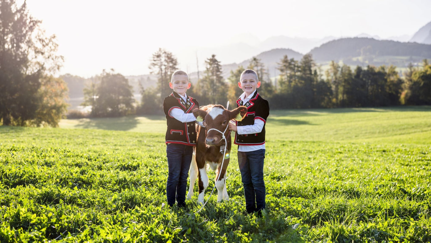 Katalog Patura Produktübersicht und Details