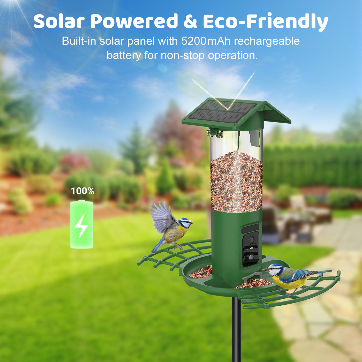 Solarbetriebener Vogelfütterer mit integriertem Solarpanel und 5200mAh Akku; grüner Futterbehälter, durchsichtig gefüllt mit Samen, zwei Blaumeisen füttern an der Futterstation im sonnigen Garten.