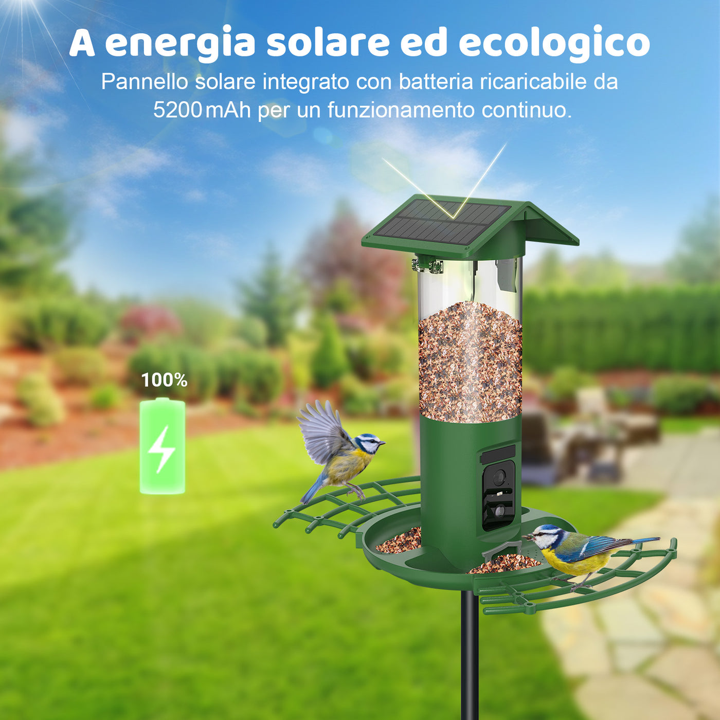 Solarbetriebener Vogel-Futterspender im Garten mit integriertem Solarpanel und 5200 mAh Batterie; zwei Blaumeisen ernähren sich am Futter.