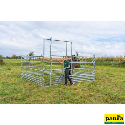 Backstop in the gangway frame for catching and handling systems for sheep, galvanized