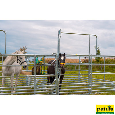 Backstop in the gangway frame for catching and handling systems for sheep, galvanized