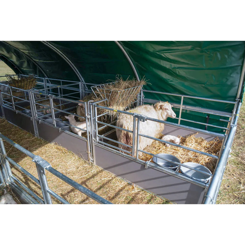 Mehrere Schafe in einer Metallstallbox mit Heu und Stroh, Wassernäpfen, unter einem grünen Überdach.