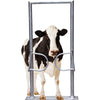 One-way door 2-leaf with frame