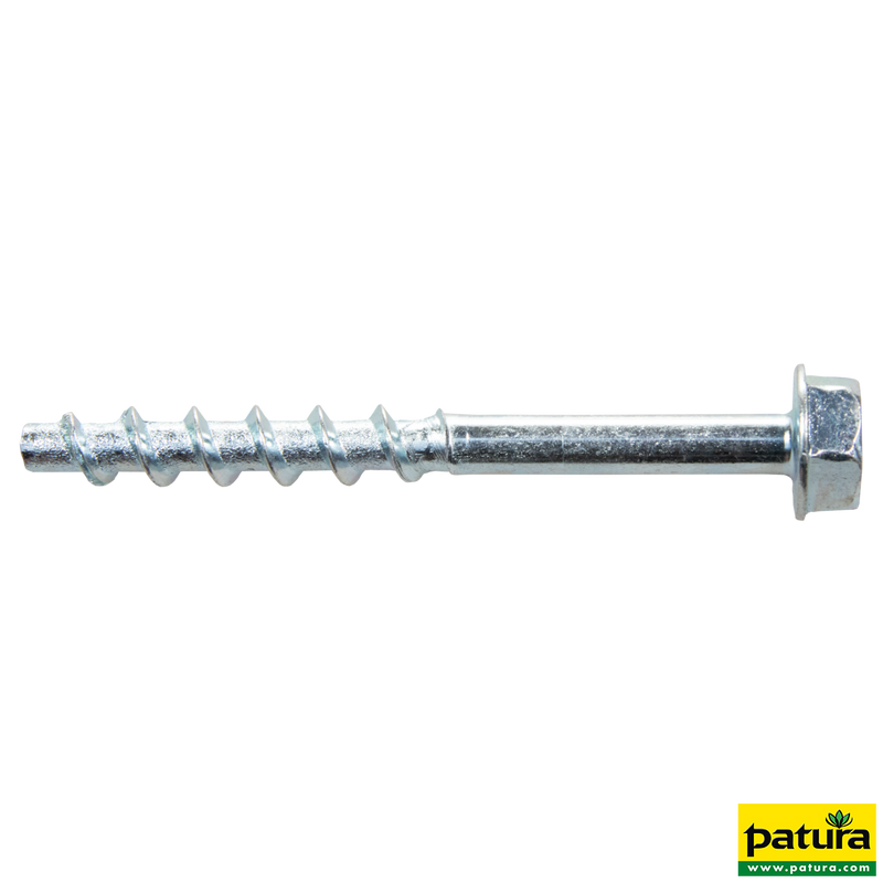 Bolt anchor/concrete screw M5 x 60 mm galvanized