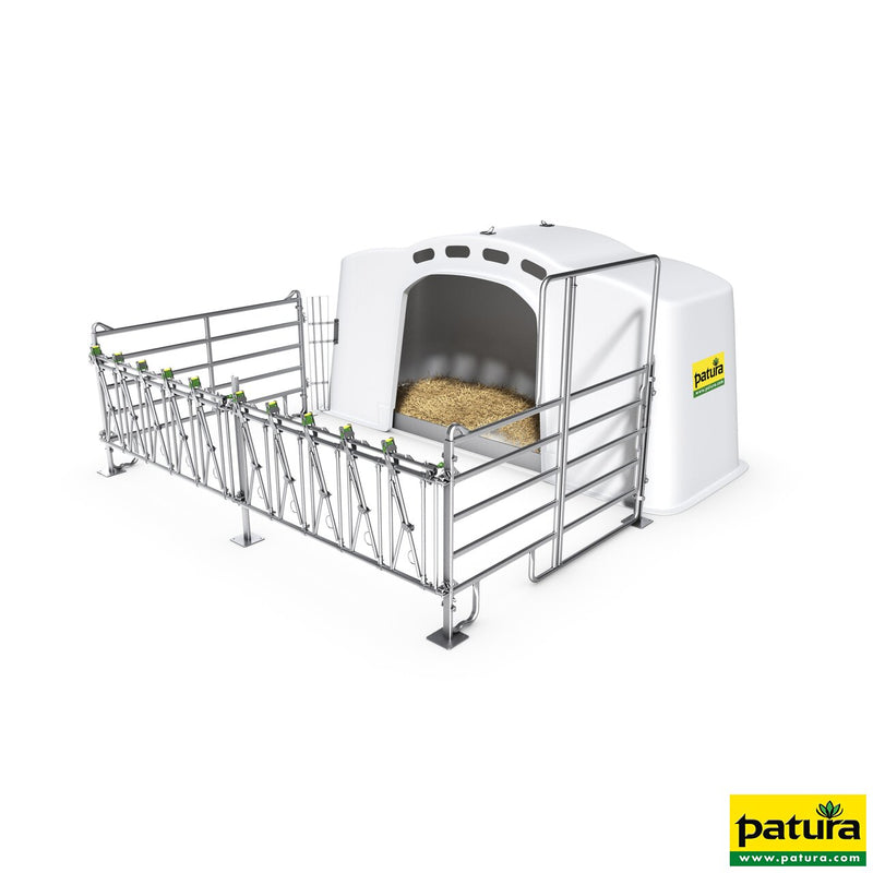 XXL calf hutch with professional fencing