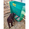 Automatic feeder for lambs and calves