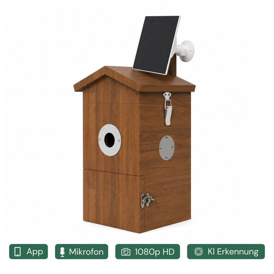 Smart Bird Feeder Camera, riconoscimento IA e alimentazione solare, acquisizione automatica e notità, rilevamento del movimento, ideale Smart Bird Feeder Camera, riconoscimento IA e alimentazione solare, acquisizione automatica e notità, rilevamento del movimento, ideale