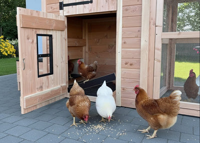 Hühnerstall Sem mit Auslauf