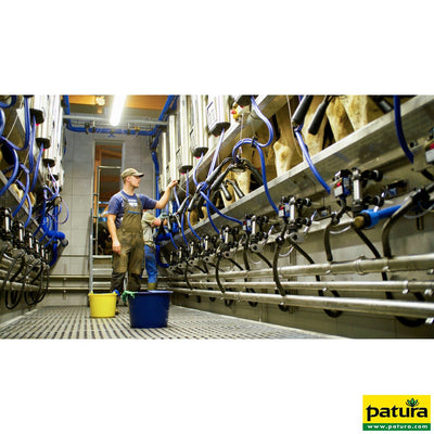 Landwirt in Arbeitskleidung bedient Melkmaschinen in einer modernen Milchanlage; blaue Schläuche und Metallrohre ziehen sich durch die Anlage, mehrere Melkklauen hängen bereit; gelbe und blaue Eimer stehen auf dem Gitterboden; Patura-Logo unten rechts.
