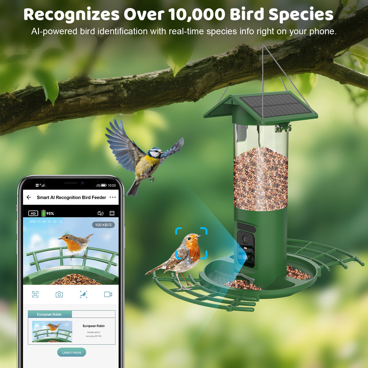 Grüner solarbetriebener Vogelfütterer mit transparentem Futterbehälter an Ast, daneben Smartphone mit KI-basierter Vogelbestimmungs-App; Vogel fliegt zum Futter vor Gartenhintergrund, Hinweis auf Erkennung von über 10.000 Vogelarten.