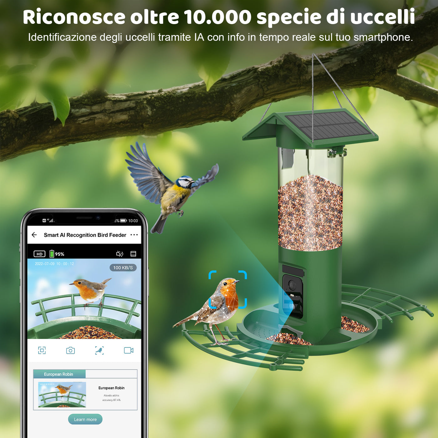 Vogelfutterspender mit Solarpanel an grünem Hintergründe, daneben Smartphone-App zur Echtzeit-Erkennung von über 10.000 Vogelarten; Rotkehlchen am Futterkorb.