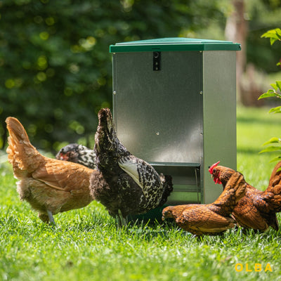 Starter-Set für Hühner