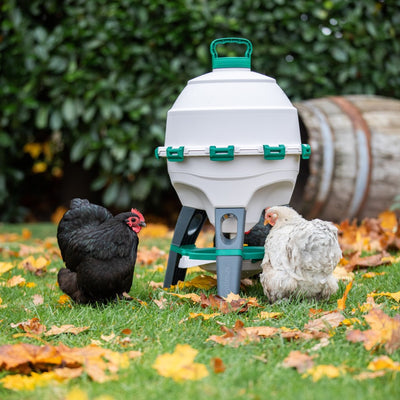 Starter-Set für Hühner