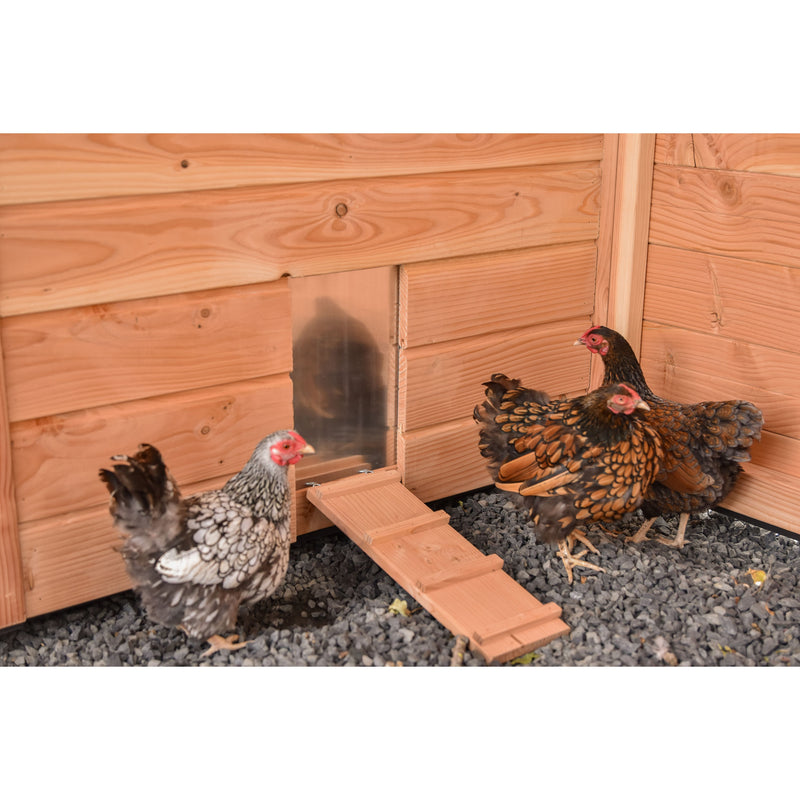 Zwei Hühner vor einem holzfarbenen Hühnerstall mit kleiner Rampe; links eine graue, gemusterte Henne, rechts eine braun-schwarz gefiederte Henne, Kiesboden im Vordergrund.