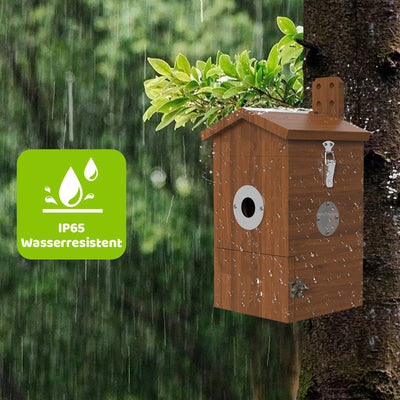 Holz-Vogelhaus an einem Baumstamm im Regen, grüne Blätter am Dachvorsprung, mit runder Eingangsöffnung und Metallbeschlägen; daneben ein grünes IP65-Wasserdicht-Siegel.