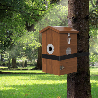 Holz-Vogelnistkasten an einem Baum befestigt, im Parkgrün mit Sonnenlicht; schwarzes Gurtband hält ihn fest, rundes Einflugloch mit Metallring und Verriegelung sichtbar.