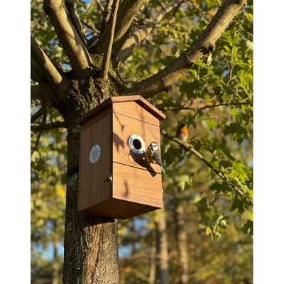 Holz-Vogelhaus an Baumstamm befestigt, kleiner Vogel sitzt am Einflugloch, sonnige Baumumgebung mit Blättern.