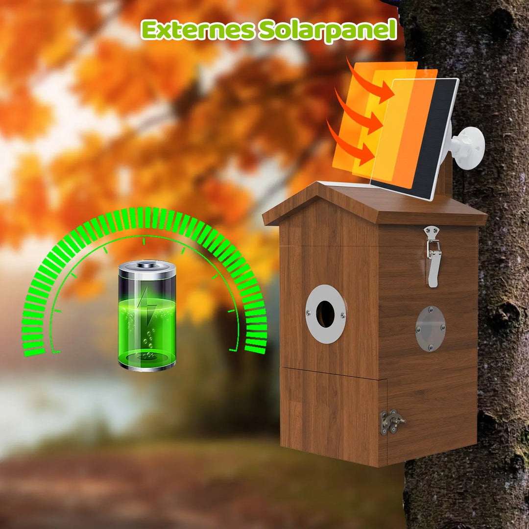 Bird nesting box with camera AI bird detection