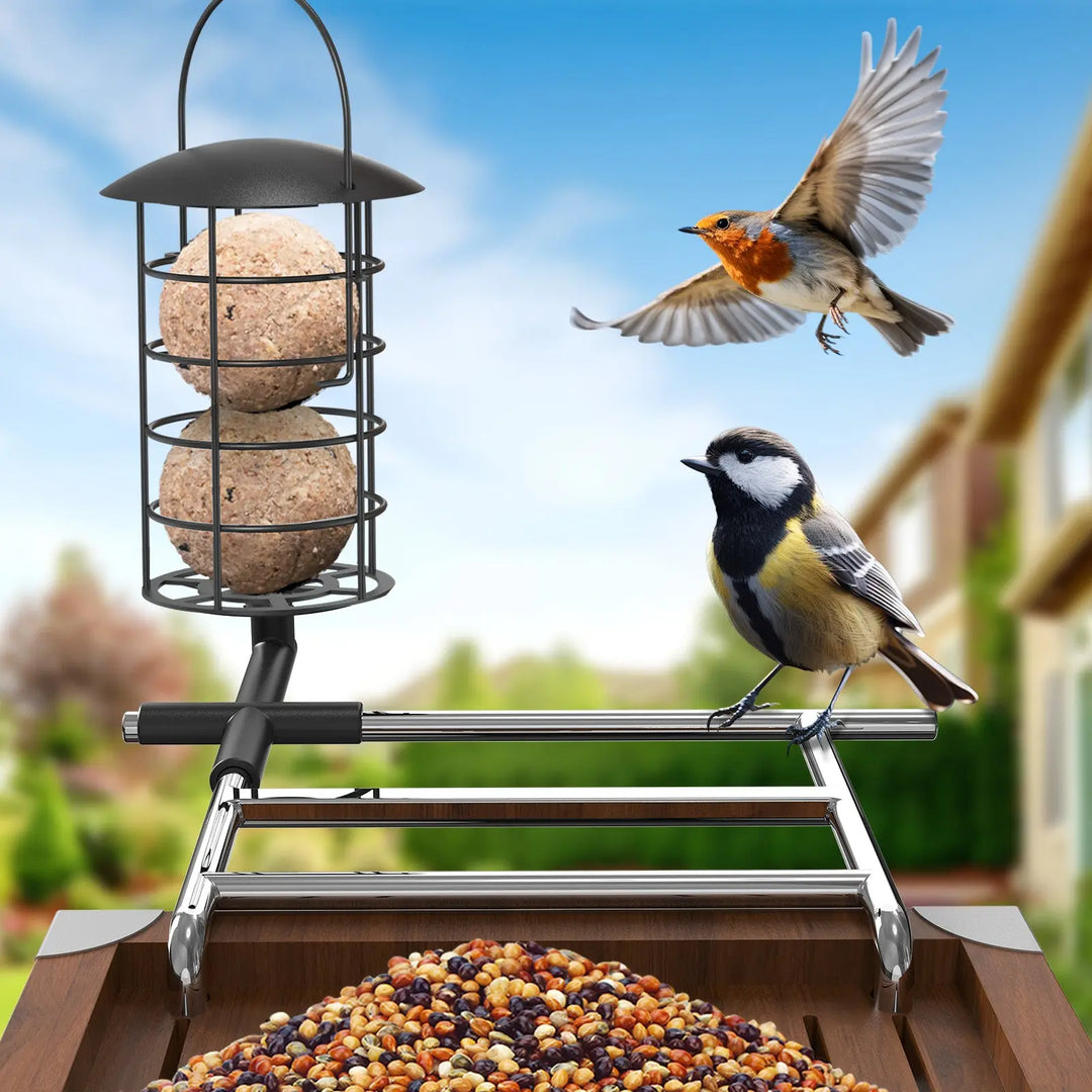 Mangiatoia Per Uccelli Con Telecamera 1080P - Guarda Gli Uccelli In Diretta Sul Telefono Con Visione Notturna - Foto 7