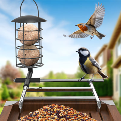 Vogelfutterspender mit zwei Suet-Bällchen in einem schwarzen Metallkäfig; ein Rotkehlchen fliegt daneben, während eine Kohlmeise auf dem Gestell sitzt; vorne eine Holzkiste mit gemischten Samen, Garten im Hintergrund und blauer Himmel.