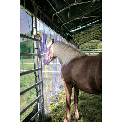 Pferd mit blonder Mähne steht in einer mobilen Pferdebox mit transparenten Seitenwänden; draussen grüne Wiese zu sehen.