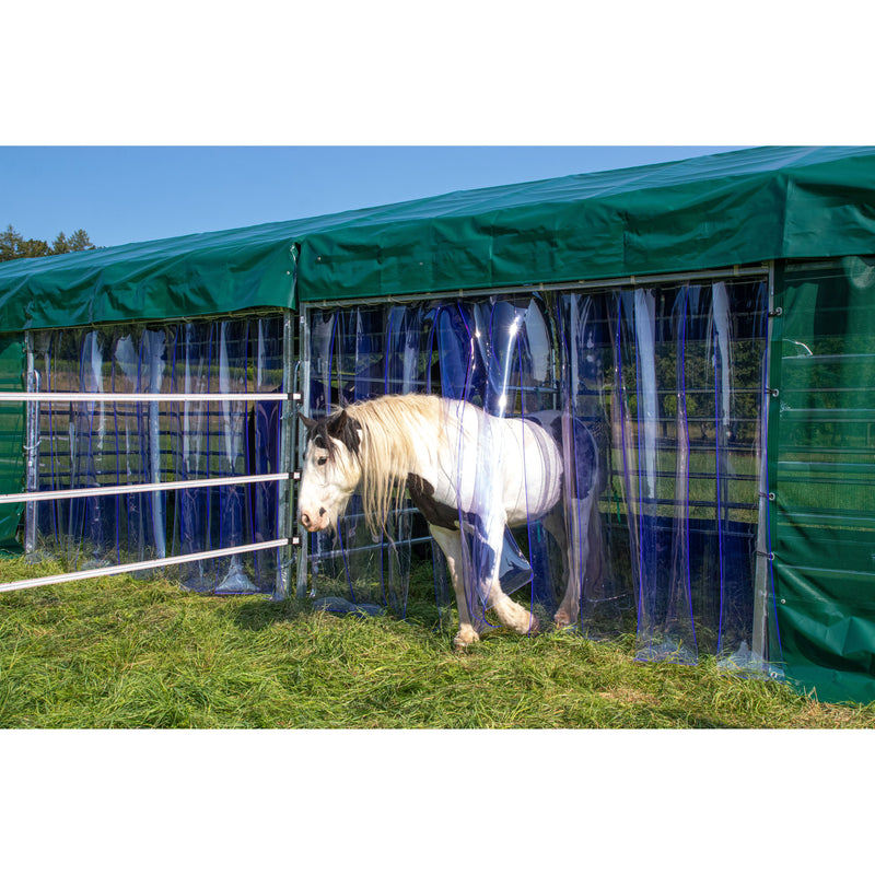 Weisses Pferd mit langer blonder Mähne vor grünem Zeltstall mit transparent-blauen Vorhängen auf einer Grasweide.