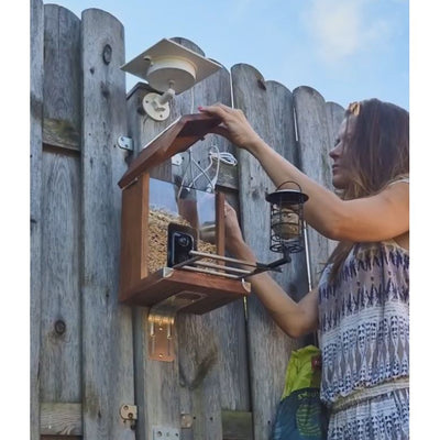 Frau montiert an einem Holzzaun eine selbstgebaute Vogelhaus-Futterstation; die Box hat ein Dach, eine transparente Front und eine integrierte Kamera, daneben hängt eine Laterne.