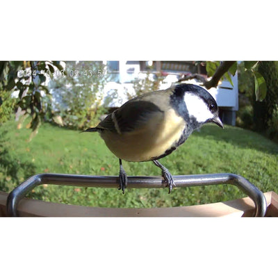 Vogelfutterhaus mit Kamera Sanilu Sanilu