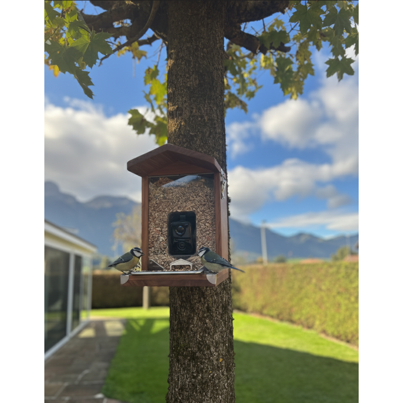 Vogelhäuschen am Baumstamm im Garten mit zwei Meisen am Futterbrett; Hintergrund: Wiese, Hecke, Berge und blauer Himmel.