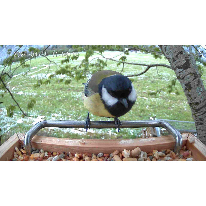 Vogelfutterhaus mit Kamera Sanilu Sanilu