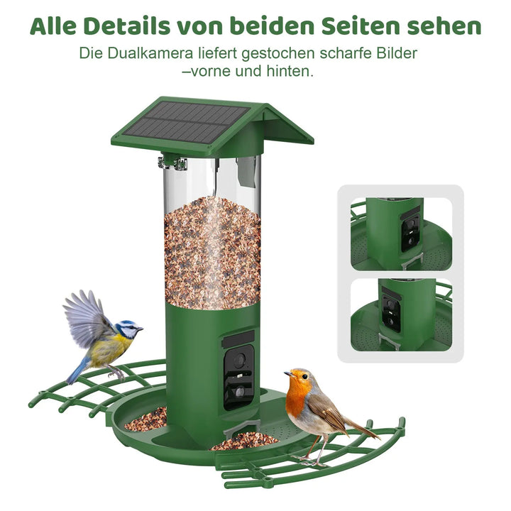 Mangiatoia intelligente per uccelli con telecamera ad energia solare, fotocamera HD cattura automaticamente video di uccelli con intelligenza artificiale identifica le specie di uccelli, avvisi di Mangiatoia intelligente per uccelli con telecamera ad energia solare, fotocamera HD cattura automaticamente video di uccelli con intelligenza artificiale identifica le specie di uccelli, avvisi di