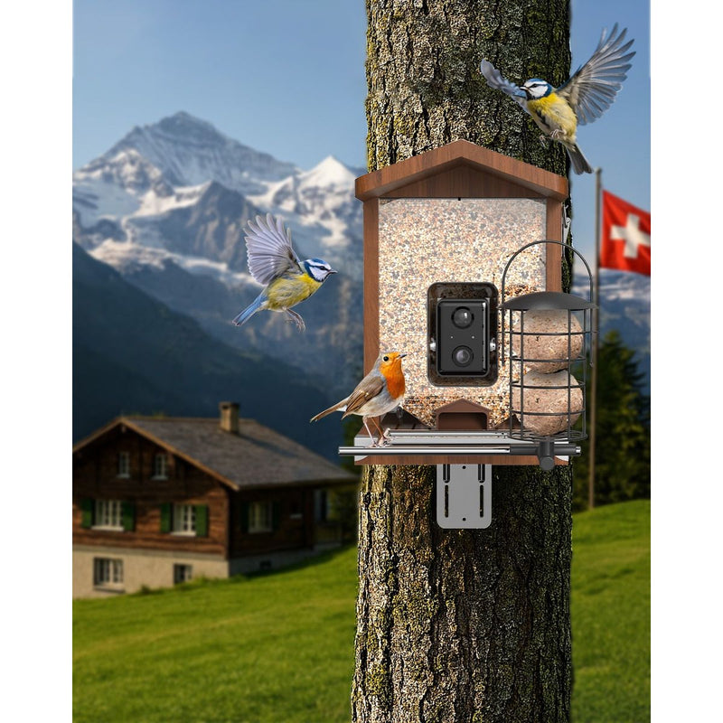 Vogelfutterstation am Baum mit integrierter Kamera; zwei Blaumeisen und ein Rotkehlchen füttern, Schweizer Alpenlandschaft mit Chalet und Schweizer Flagge im Hintergrund.