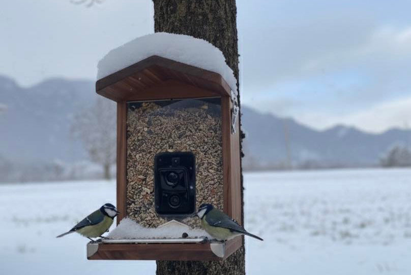Holz-Vogelfutterhaus am verschneiten Baum, zwei Meisen am Futtertrog, winterliche Landschaft mit Bergkulisse im Hintergrund.