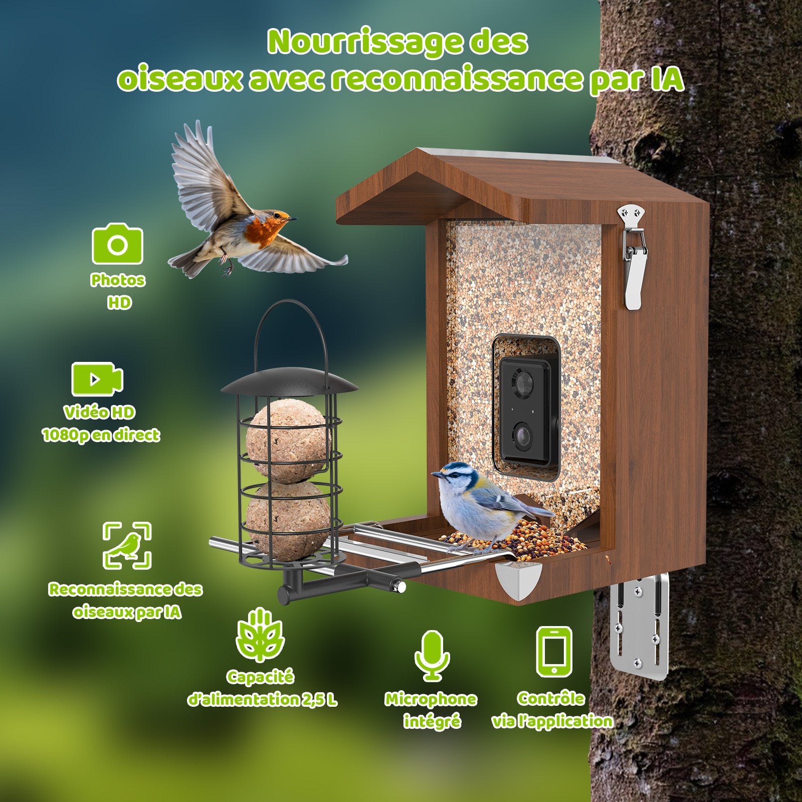 Holz-Vogelfutterautomat am Baum mit Körnerbehälter, integrierter Kamera und Vogel am Futterteller; grüner Hintergrund, KI-Vogel-Erkennung.
