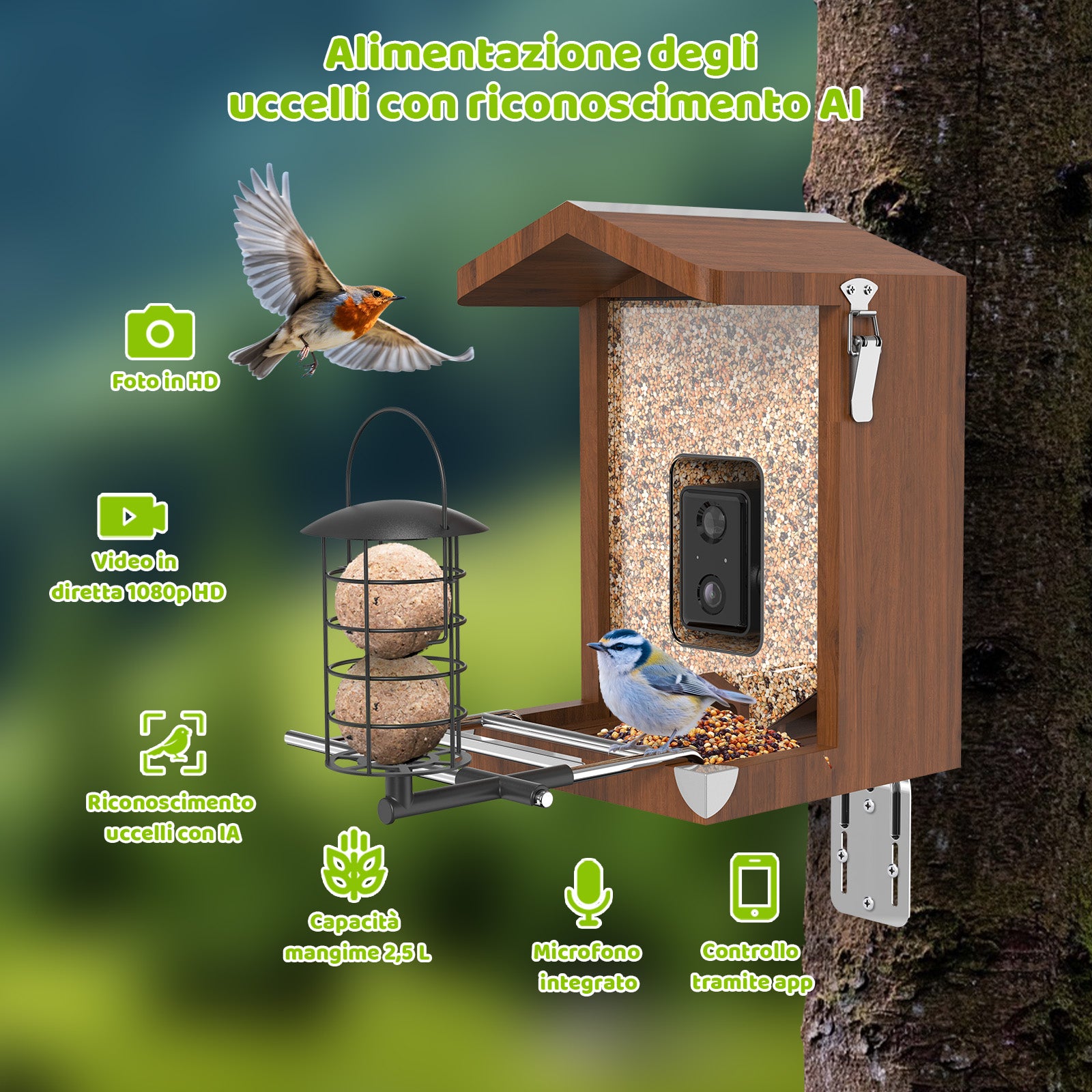 Holz-Vogelfutterspender mit KI-Vogelerkennung, integrierter Kamera, 1080p-HD-Video und App-Steuerung; Fassungsvermögen 2,5 L Futter; ein Vogel füttert am Futterplatz.