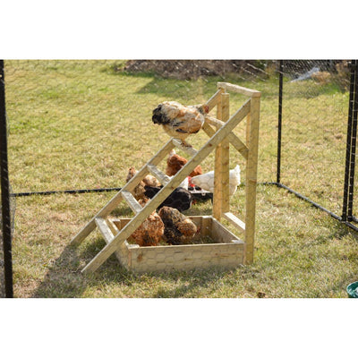 Holztreppe im Hühnergehege mit mehreren Hühnern, die darauf sitzen, umzäuntes Grasgelände im Hintergrund.
