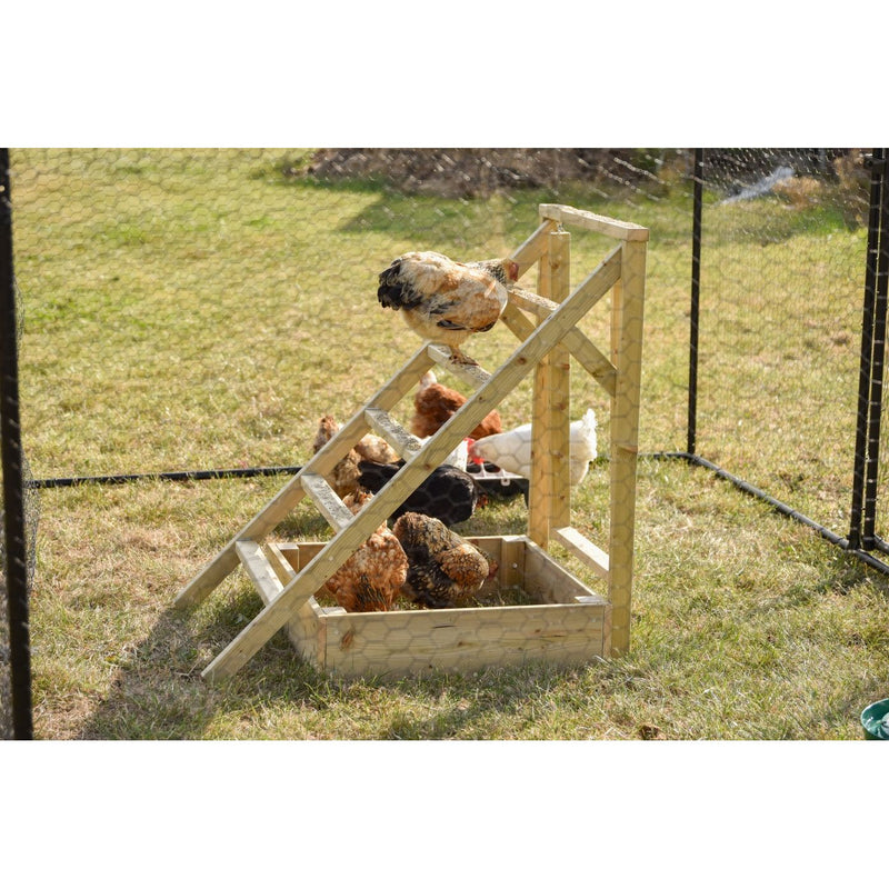 Holztreppe im Hühnergehege mit mehreren Hühnern, die darauf sitzen, umzäuntes Grasgelände im Hintergrund.