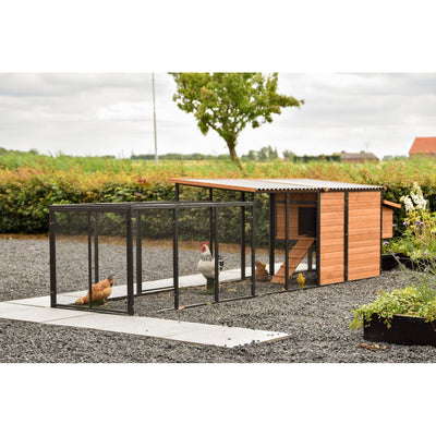 Holz-Hühnerstall mit Wellblechdach und Drahtgehege im Garten; mehrere Hühner laufen im Gehege auf Kiesboden, davor ein Betonweg, Hecke und Baum im Hintergrund.