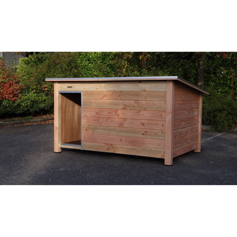 Garten-Holzschuppen mit Flachdach aus naturbelassenem Holz, offenes Eingangsportal an der Vorderseite, steh auf Asphalt vor Grünpflanzen.