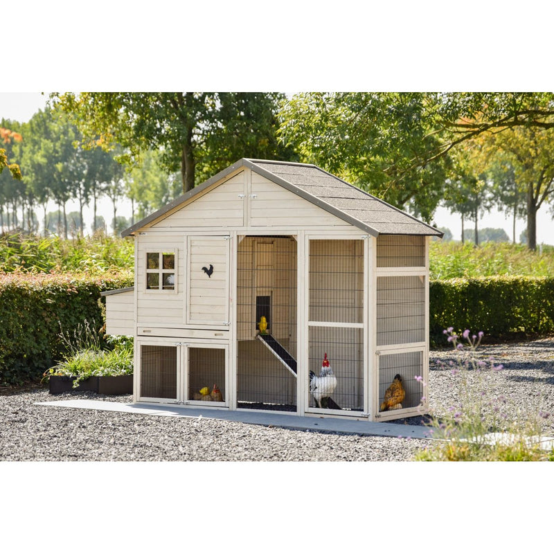 Holz-Hühnerstall mit Auslauf im Garten, Kiesboden und Bäumen im Hintergrund; mehrere Hühner und ein Hahn im Gehege.